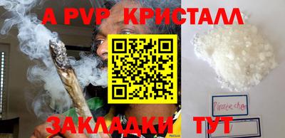прущие грибы Сланцы