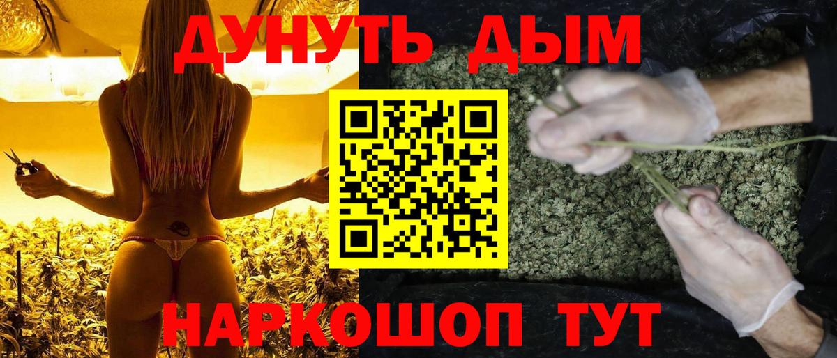 Канабис Ganja Новороссийск